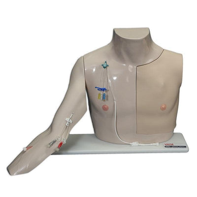 CHESTER CHEST Modell | IV-Punktionen| Gefäßzugang entfernen | VT-2400-STD - Notemed Medizintechnik 