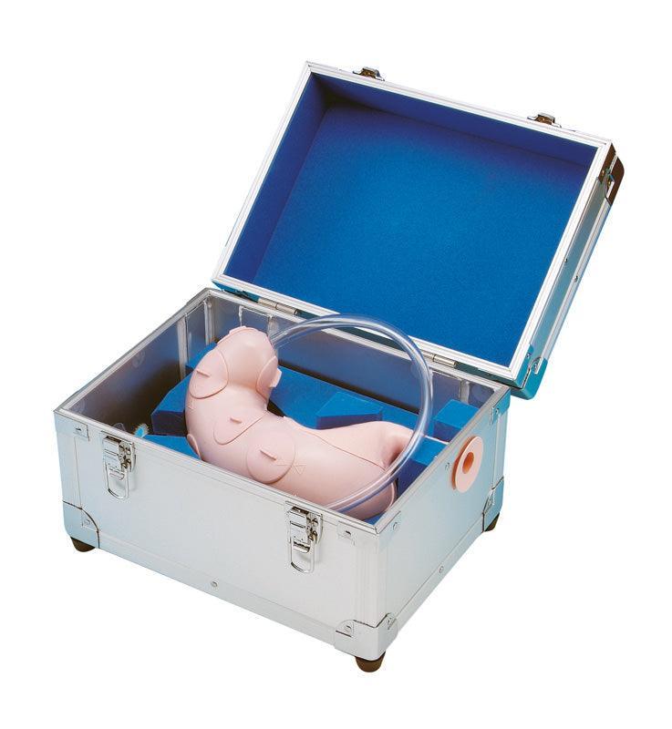 Trainer für endoskopische Submukosadissektion (ESD), LM83 - Notemed Medizintechnik 