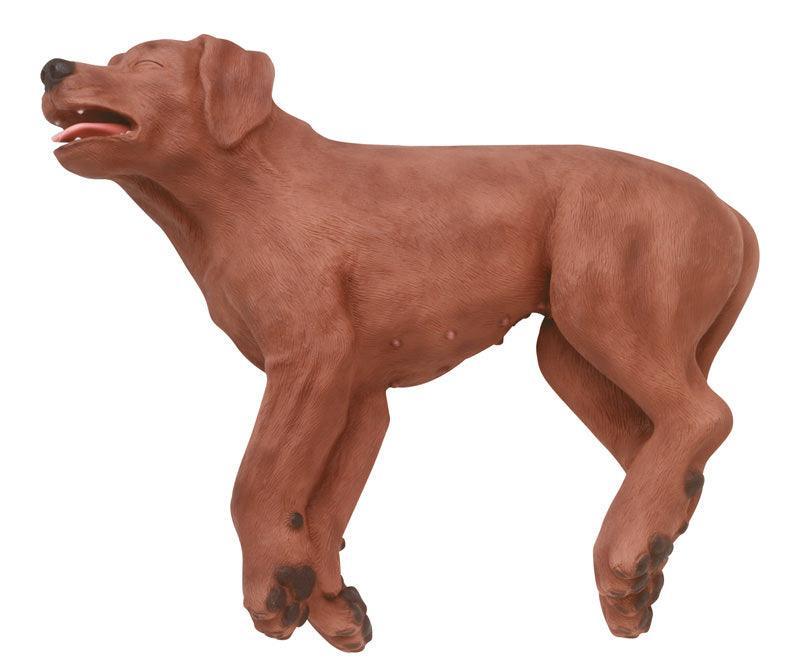 HLW Übungshund CasPeR, VET2500 - Notemed Medizintechnik 